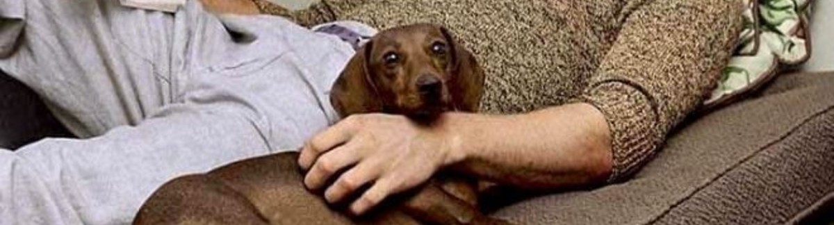 477720984_1176237014505413_9059084492554611111_n