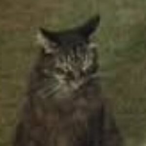 Profilbild von Roman Kurmanowytsch