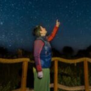 Profilbild von Sonja Wehsely