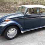 Profilbild von Gerhard Lechner