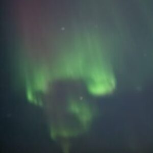 Profilbild von Michaela Schwaiger