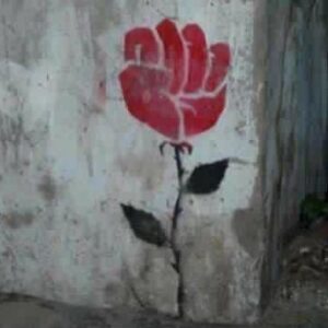 Profilbild von Michaela Topolnik