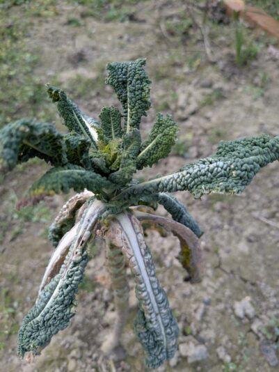 PXL_20260322_122301159