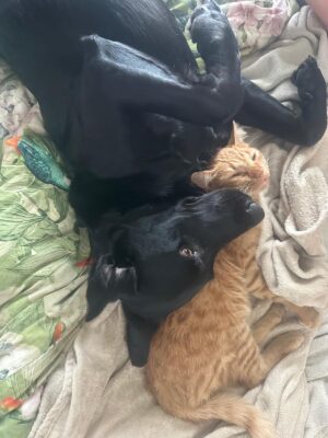 41b80530-bb04-4e20-a039-a52e06a15049