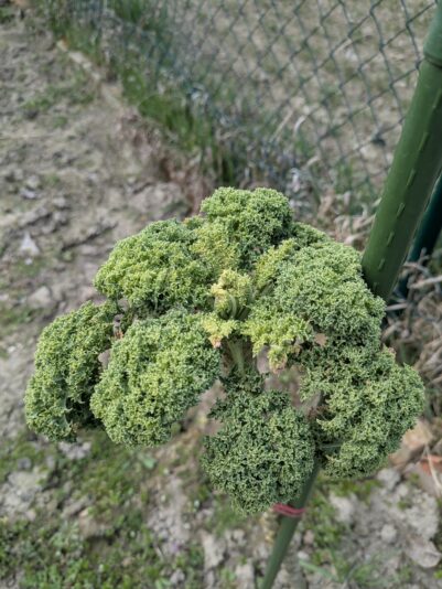 PXL_20260322_122252030