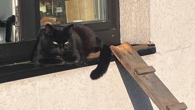 WhatsApp Image 2026-04-22 at 13.44.55