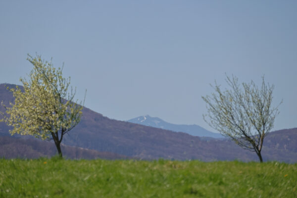 E1F10A22-E0EE-4927-91BC-A29BB5AE7F8D