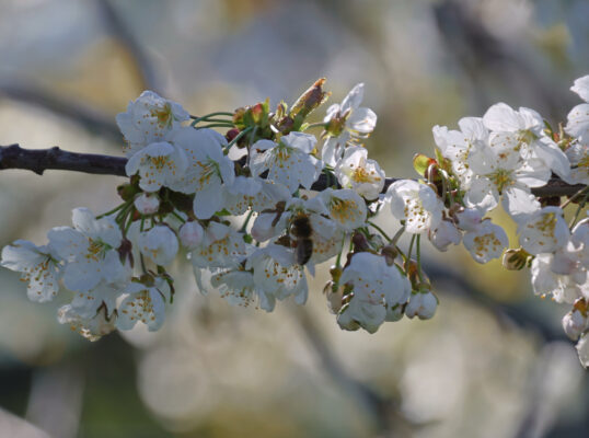 F353ED9D-2657-4CBE-901F-AC0AEFFA9B3F