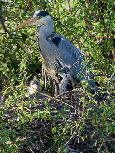 20260406-174334-OM-1MarkII-5100-C1