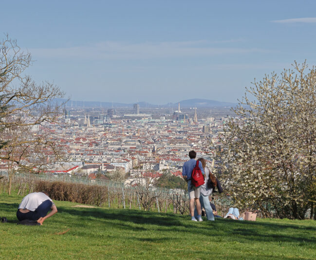 5B88FA24-7FD8-4FD3-AF41-35492697C12D