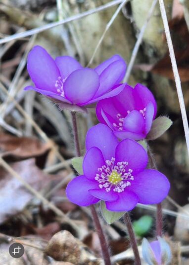 3e79a1e2-870a-4e95-9029-c7e58fa20ebc