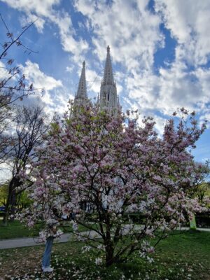 0ae804ae-bcaf-4805-99cb-433448add19c