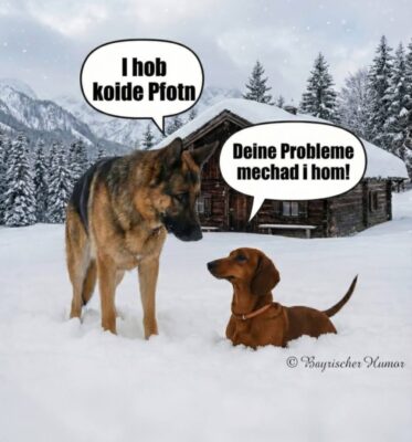 71017e3c-3982-424d-9132-cd46ef017bc5