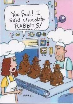 chokolate rabbis