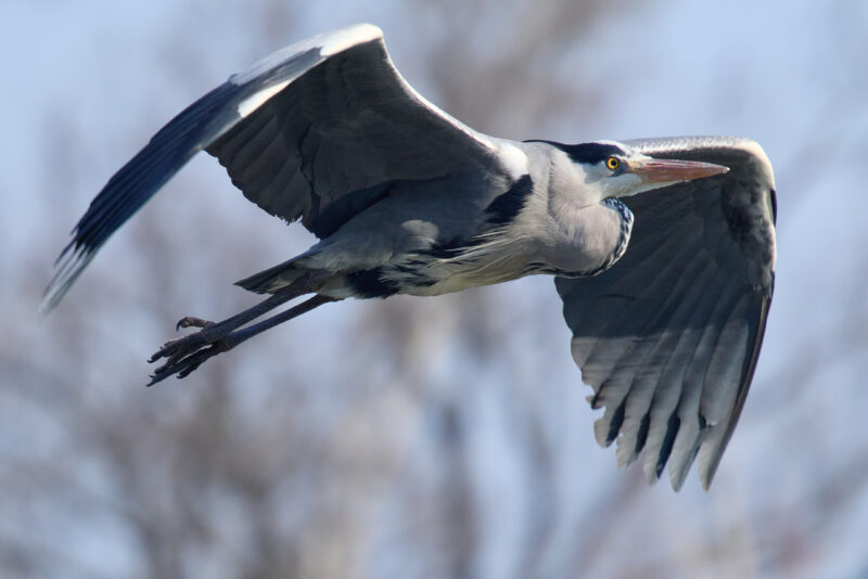 20260301-094413-OM-1MarkII-1657-C1