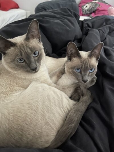 FCB288DB-14FC-4734-9DB9-1130309E1776_1_105_c