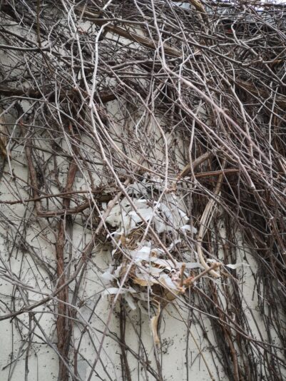 WhatsApp Image 2026-03-27 at 2.20.29 PM