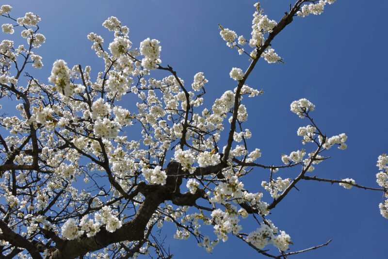 34F02424-9DA1-4129-B386-524081386F0C