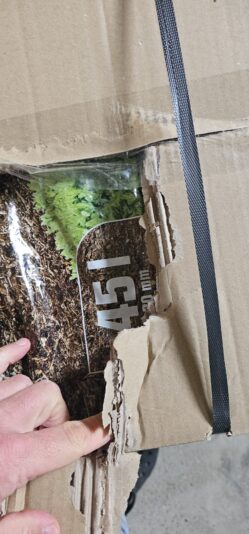 WhatsApp Image 2026-04-10 at 10.52.00 (1)