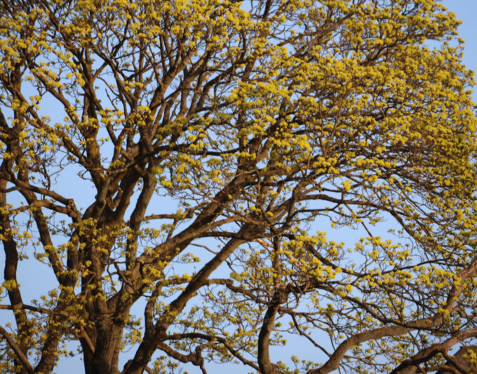 F787189C-44CE-48ED-B1B8-6D1C567B856E