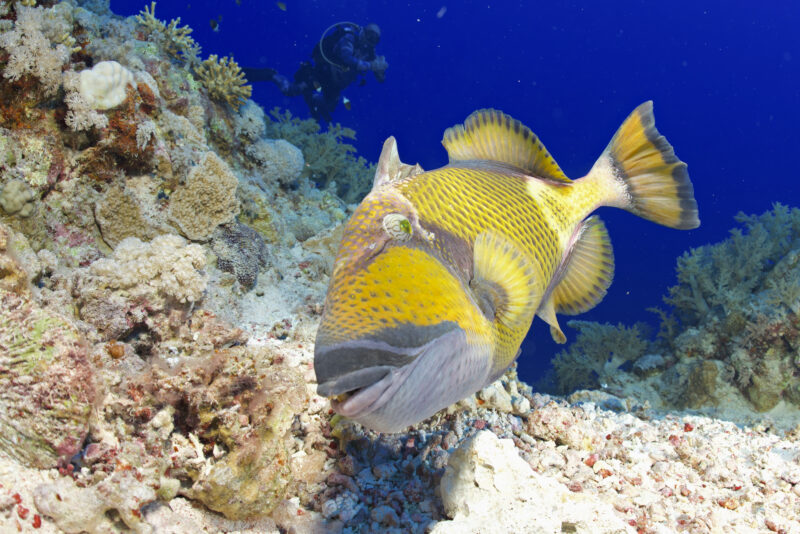 Blue_24_Week1_Gangoly - 69