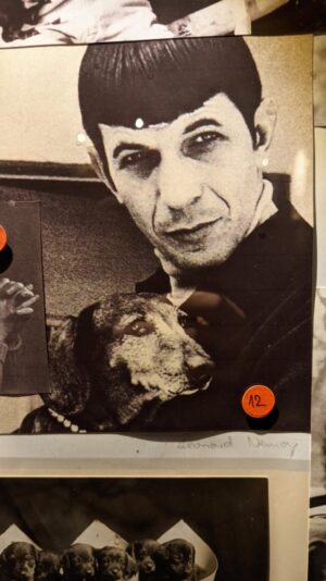 243113873_10158126231646771_6215034918991685758_n