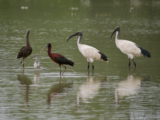 20230430-114053-OM-1-4215-c1