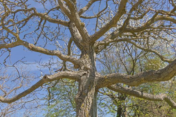 B29F7A8F-0B47-4E05-9E8F-26955F6C1238