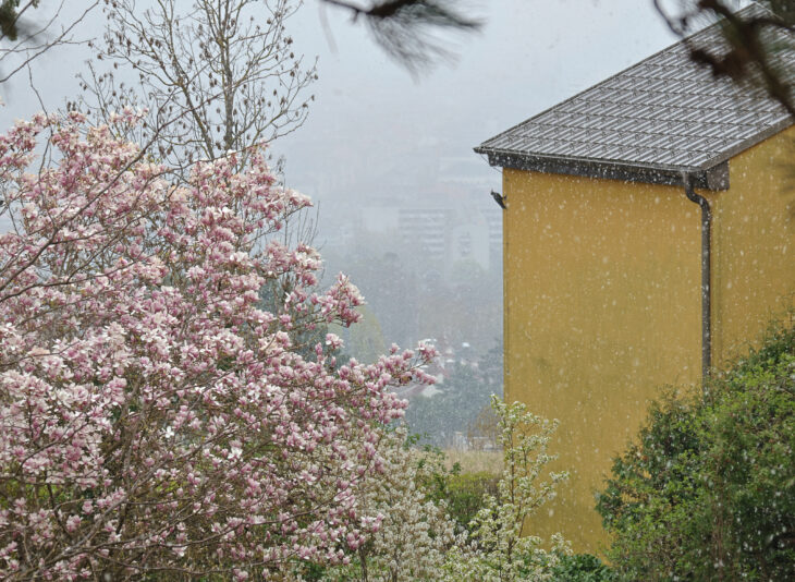 E3C20FC0-1ACC-42D8-BFC7-66CF4D18893E