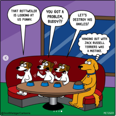 Bildschirmfoto 2026-03-03 um 09.26.32