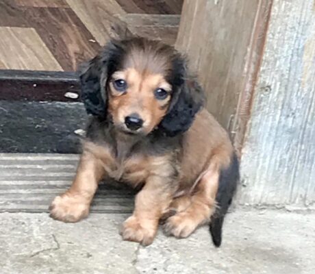 f8e67249-dbb5-45a9-9828-96a42ab026bd