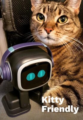 71Frs+y0VQL-1._AC_SL1436_