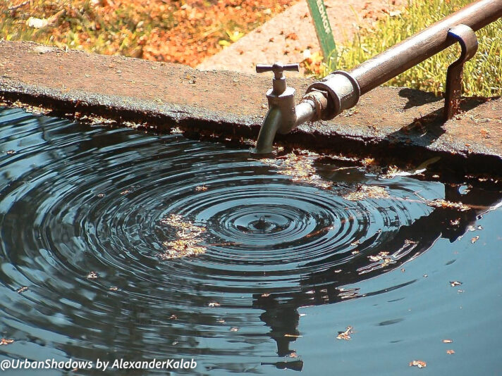 529288226_3278479272318324_9177921638967429142_n