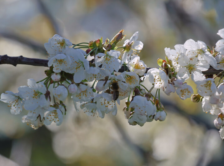 F353ED9D-2657-4CBE-901F-AC0AEFFA9B3F