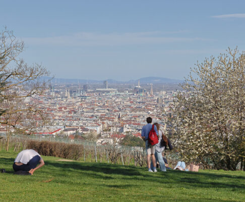 5B88FA24-7FD8-4FD3-AF41-35492697C12D