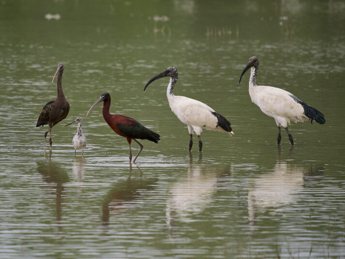 20230430-114053-OM-1-4215-c1