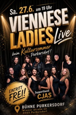 Flyer1