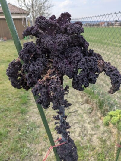 PXL_20260322_122243875