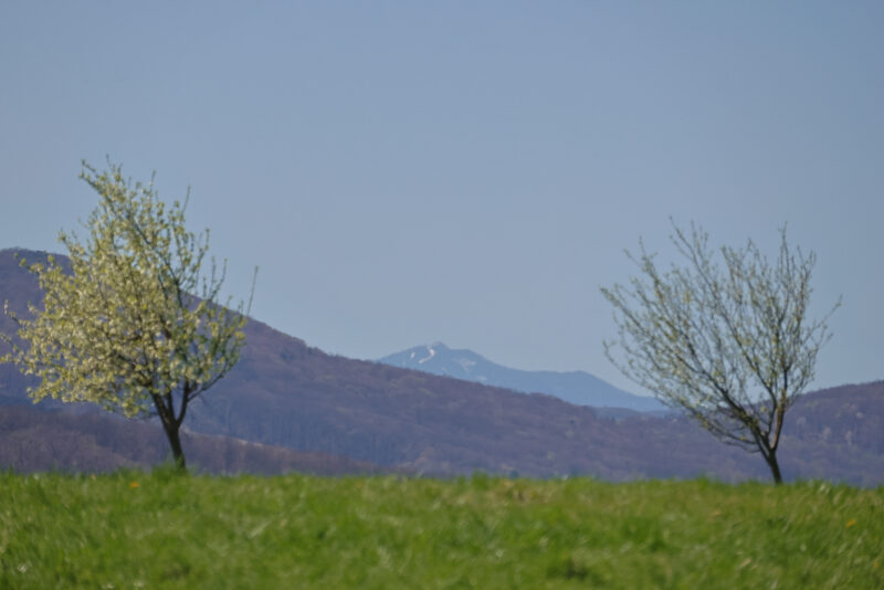 E1F10A22-E0EE-4927-91BC-A29BB5AE7F8D