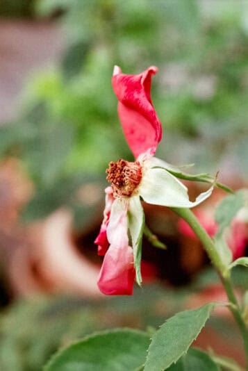 scan20260611_0021