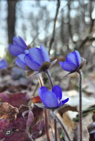 72327082-ef98-4eb3-85cb-9d1dbaa6bfc6