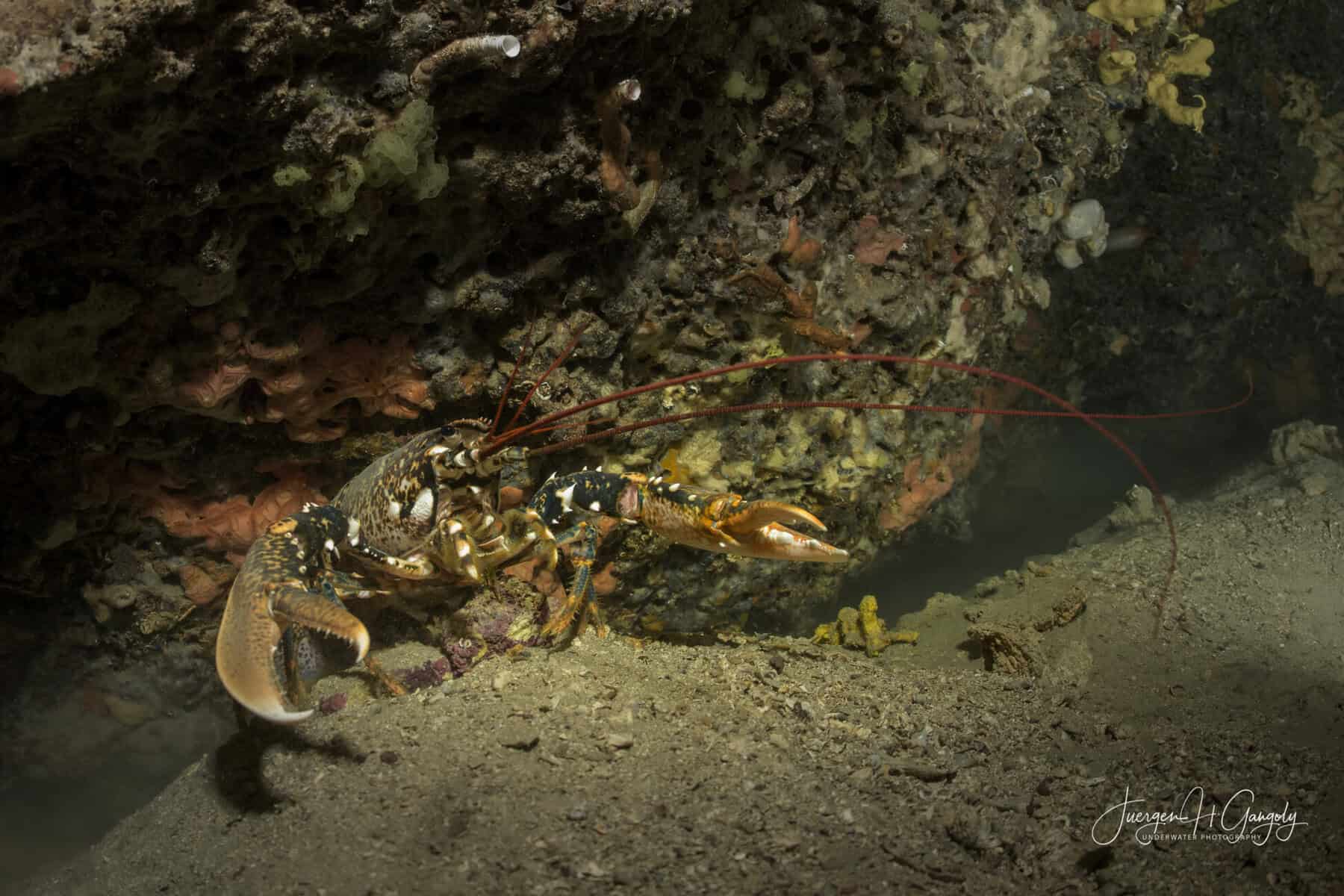 Group cover image
