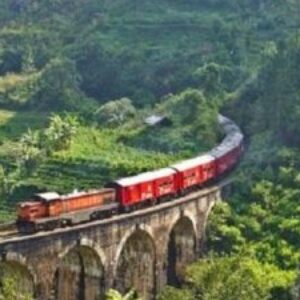 Gruppenlogo von Reisen