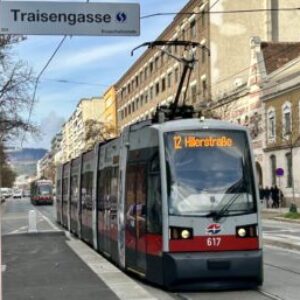 Gruppenlogo von Wiener Linien