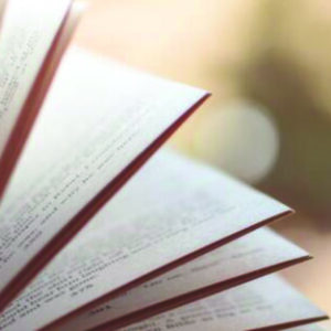 Gruppenlogo von Bücher und Literatur